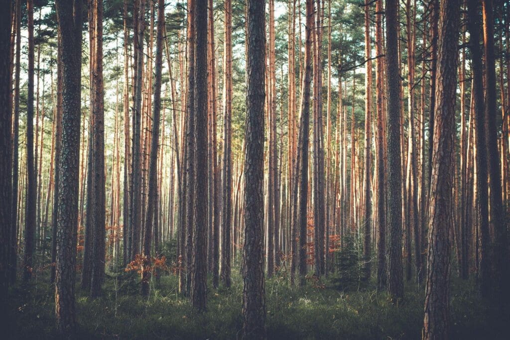 How Green is Your Property?