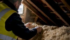 Energy assessor inspecting loft insulation
